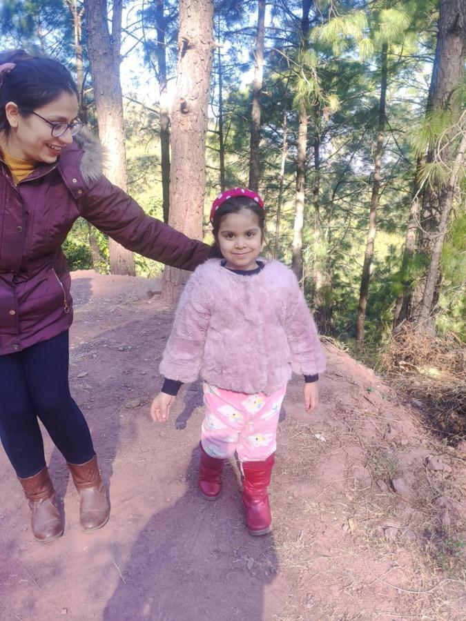 The Asgard Kasauli Panzió Kültér fotó