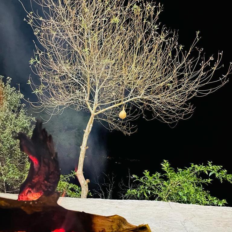 The Asgard Kasauli Panzió Kültér fotó